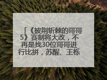 《披荆斩棘的哥哥5》赛制将大改，不再是找30位哥哥进行比拼，苏醒、王栎鑫、王铮亮、张远等多名男团选手被曝将参加
