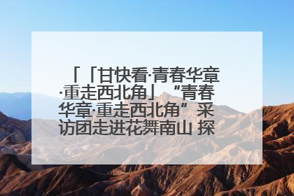「甘快看·青春华章·重走西北角」“青春华章·重走西北角”采访团走进花舞南山 探寻天水乡村振兴之路