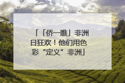 「侨一瞧」非洲日狂欢！他们用色彩“定义”非洲