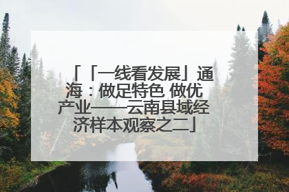 「一线看发展」通海：做足特色 做优产业——云南县域经济样本观察之二
