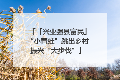 「兴业强县富民」“小青蛙”跳出乡村振兴“大步伐”