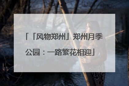 「风物郑州」郑州月季公园：一路繁花相迎