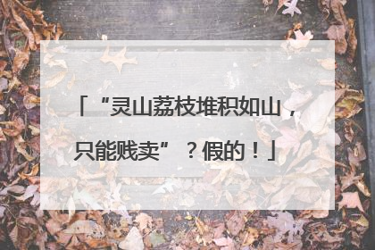 “灵山荔枝堆积如山，只能贱卖”？假的！