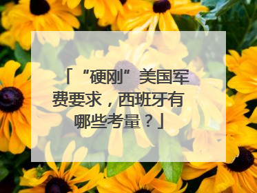 “硬刚”美国军费要求，西班牙有哪些考量？