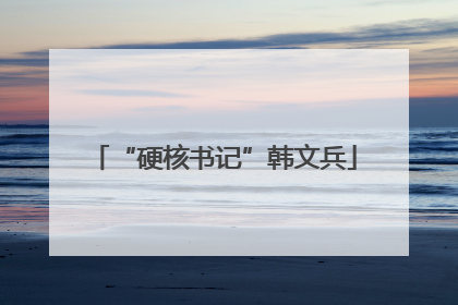 “硬核书记”韩文兵