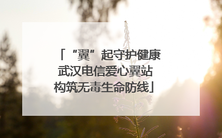 “翼”起守护健康 武汉电信爱心翼站构筑无毒生命防线