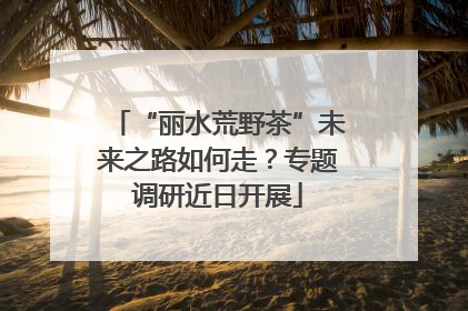 “丽水荒野茶”未来之路如何走？专题调研近日开展