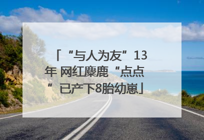 “与人为友”13年 网红麋鹿“点点”已产下8胎幼崽