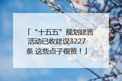 “十五五”规划建言活动已收建议3227条 这些点子很赞！