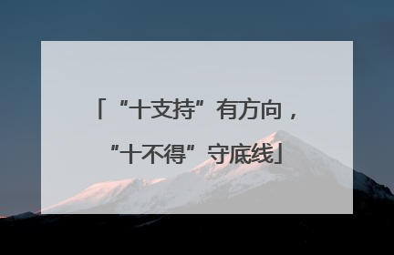 “十支持”有方向，“十不得”守底线