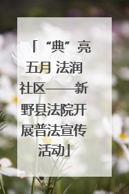 “典”亮五月 法润社区——新野县法院开展普法宣传活动