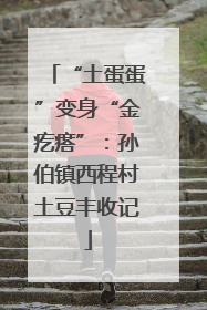 “土蛋蛋”变身“金疙瘩”：孙伯镇西程村土豆丰收记