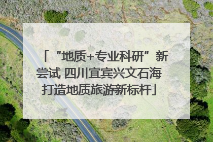 “地质+专业科研”新尝试 四川宜宾兴文石海打造地质旅游新标杆