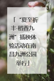 “夏至祈丰·稻香九洲”插秧体验活动在南昌九洲公园举行