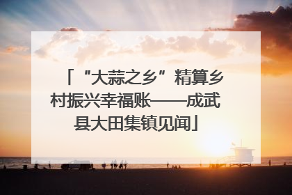 “大蒜之乡”精算乡村振兴幸福账——成武县大田集镇见闻