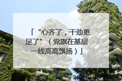 “心齐了，干劲更足了”（党旗在基层一线高高飘扬）