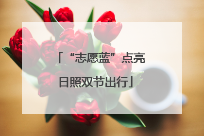 “志愿蓝”点亮日照双节出行