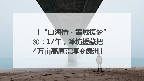 “山海情・雪域援梦”⑨：17年，潍坊援藏把4万亩高原荒漠变绿洲