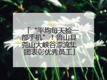“平均每天捡一部手机”！鲁山县尧山大峡谷漂流集团表彰优秀员工