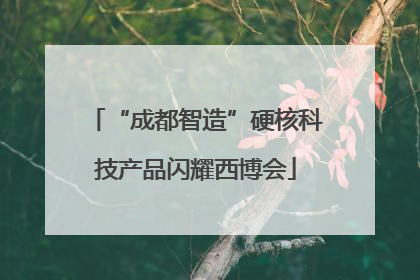 “成都智造”硬核科技产品闪耀西博会