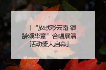 “放歌彩云南 银龄颂华章”合唱展演活动盛大启幕