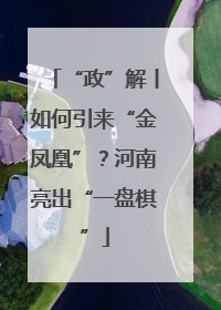 “政”解丨如何引来“金凤凰”？河南亮出“一盘棋”
