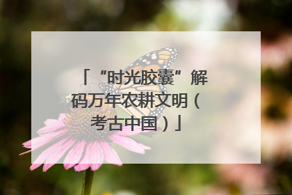 “时光胶囊”解码万年农耕文明（考古中国）