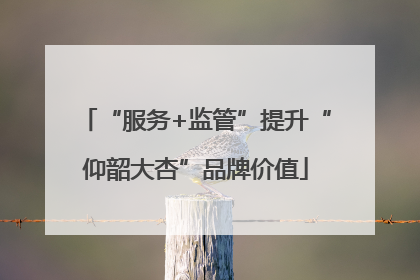 “服务+监管”提升“仰韶大杏”品牌价值