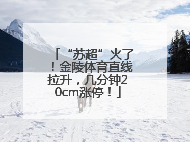 “苏超”火了！金陵体育直线拉升，几分钟20cm涨停！