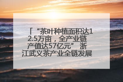 “茶叶种植面积达12.5万亩，全产业链产值达57亿元” 浙江武义茶产业全链发展“加速度”