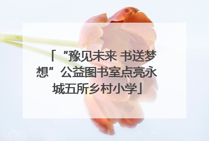 “豫见未来 书送梦想”公益图书室点亮永城五所乡村小学