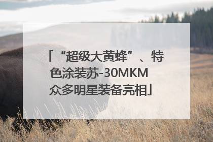 “超级大黄蜂”、特色涂装苏-30MKM 众多明星装备亮相