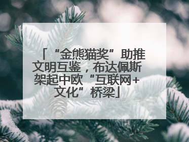 “金熊猫奖”助推文明互鉴，布达佩斯架起中欧“互联网+文化”桥梁