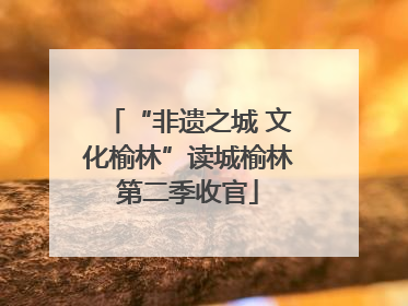 “非遗之城 文化榆林”读城榆林第二季收官