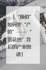 “颜值”如何变“产值”——“赏花热”背后的产业图谱