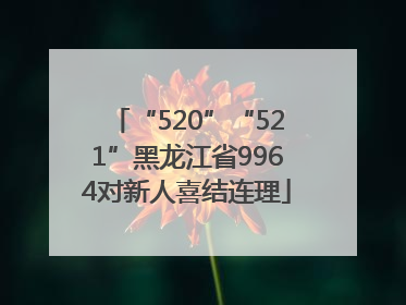 “520”“521”黑龙江省9964对新人喜结连理