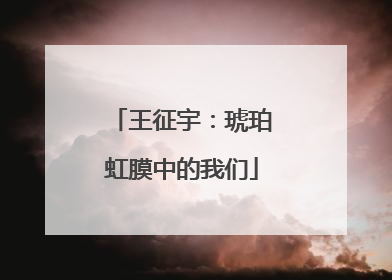 王征宇：琥珀虹膜中的我们