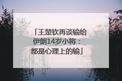 王楚钦再谈输给伊朗14岁小将：都是心理上的输