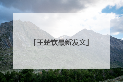 王楚钦最新发文