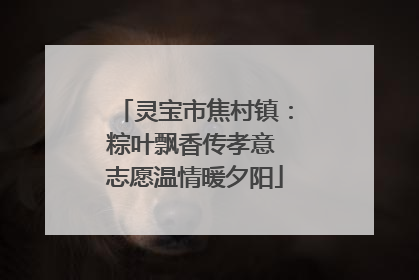 灵宝市焦村镇：粽叶飘香传孝意 志愿温情暖夕阳