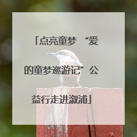 点亮童梦 “爱的童梦巡游记”公益行走进溆浦