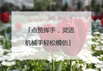 点赞挥手，灵活机械手轻松模仿