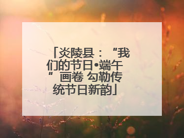 炎陵县：“我们的节日•端午”画卷 勾勒传统节日新韵