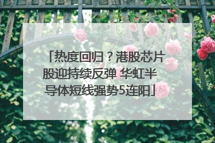 热度回归？港股芯片股迎持续反弹 华虹半导体短线强势5连阳