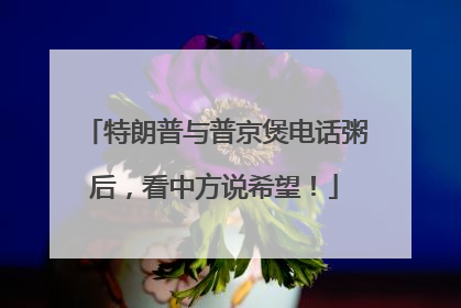 特朗普与普京煲电话粥后，看中方说希望！