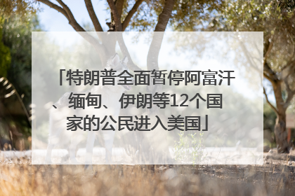 特朗普全面暂停阿富汗、缅甸、伊朗等12个国家的公民进入美国