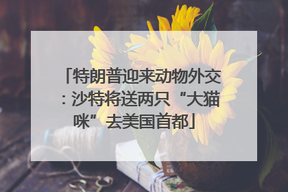 特朗普迎来动物外交：沙特将送两只“大猫咪”去美国首都