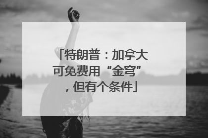 特朗普：加拿大可免费用“金穹”，但有个条件