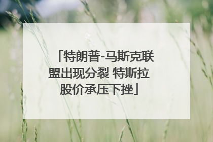 特朗普-马斯克联盟出现分裂 特斯拉股价承压下挫