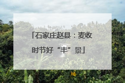 石家庄赵县：麦收时节好“丰”景